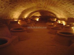 Mula Antigua serie-2